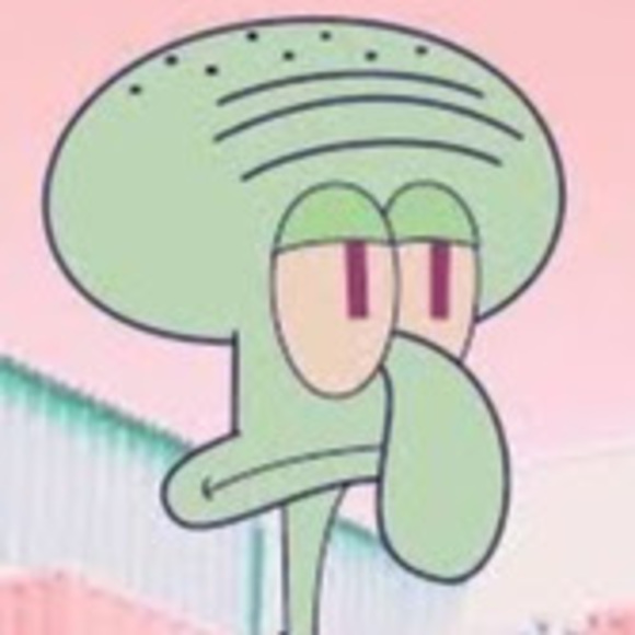 Meet your Posher, Rowan - Picture 1 of 1